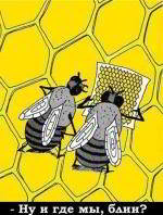 Поездка в Австралию самостоятельно