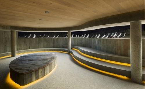 Парад Пингвинов