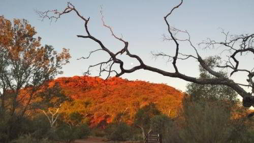 Экскурсия в Королевский Каньон
