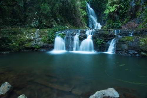 Экскурсия в тропический лес и крокодиловую ферму