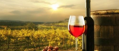 Долина виноделия реки Маргарет