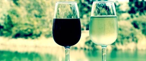 Долина виноделия Баросса