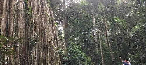 ЭКСКУРСИЯ НА ПЛАТО АТЕРТОН