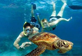 https://rusgid.au/wp-content/uploads/2017/06/snorkel-couple-turtle-wpcf_311x215.jpg