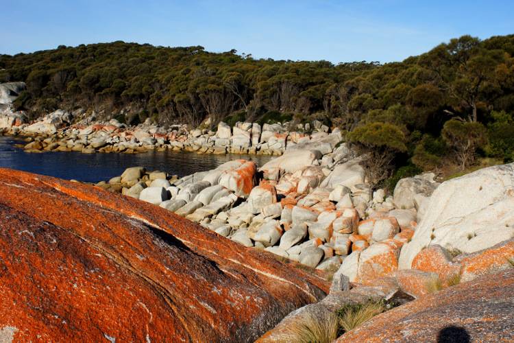 Залив Огней на острове Тасмания Австралия
