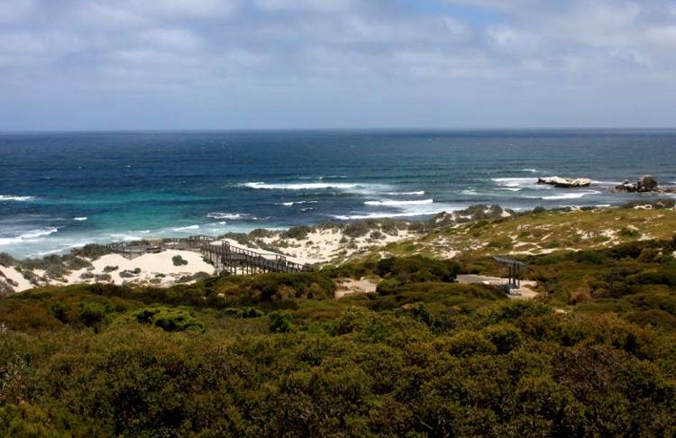 Остров Кенгуру Австралия