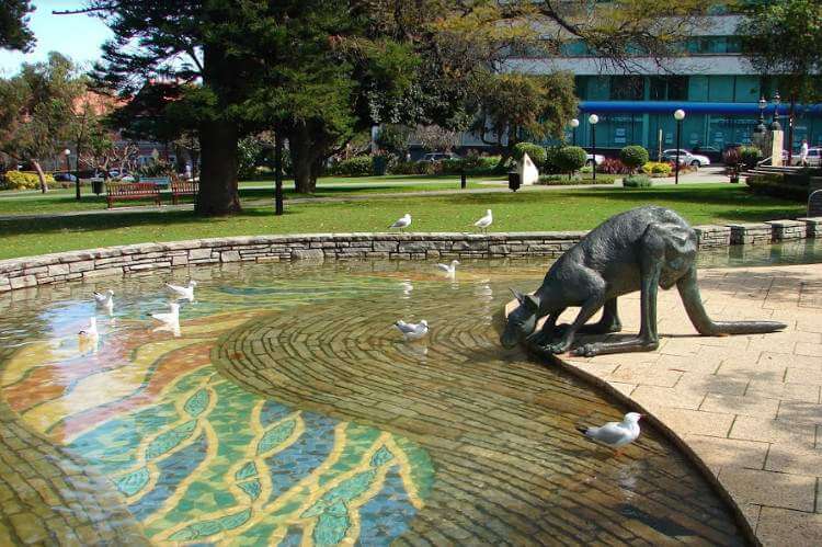 Экскурсия по Дарвину