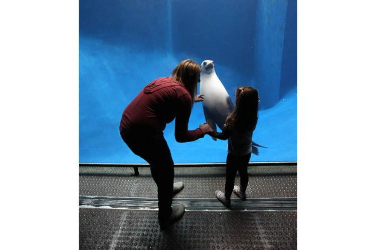 Отдых в Мельбурне с детьми