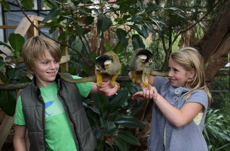 В зоопарке Мельбурна Австралия