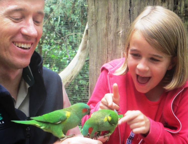 Открытый вольер для птиц в зоопарке Австралии