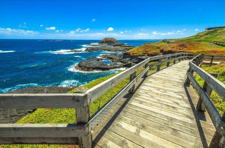 Побережье Виктории остров Филлипа