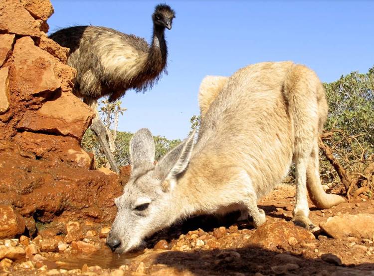 Реки-крики в Австралии