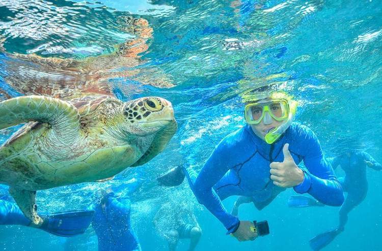 Отдых на островах в Австралии