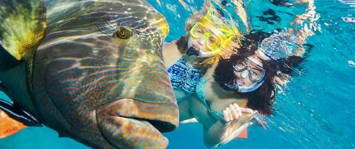 Круиз на риф Арлингтон