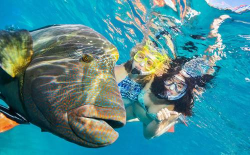 Круиз на риф Арлингтон