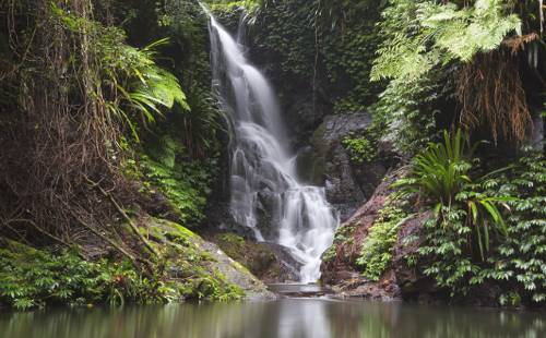 Заповедник Ламингтон – водопады, подвесная тропа и тонкорунные альпака