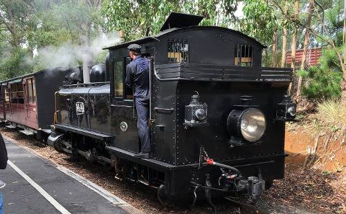 Поездка на старинном паровозе и винодельни в долине Ярра. В группе