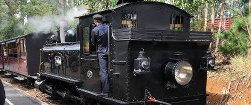 Поездка на старинном паровозе и винодельни в долине Ярра. В группе