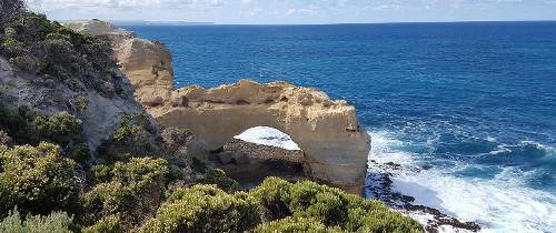 Экскурсия по Великой Океанской дороге в группе