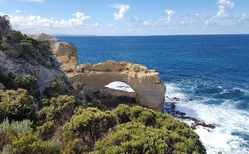 Экскурсия по Великой Океанской дороге в группе