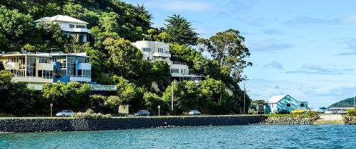 Данидин и его окрестности. Экскурсия из Порт Чалмерс