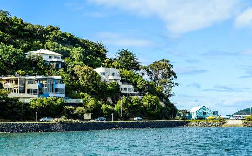 Данидин и его окрестности. Экскурсия из Порт Чалмерс