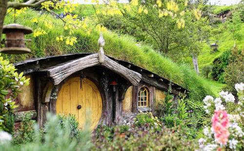 Групповая экскурсия в Хоббитон и пещеры Вайтомо на английском