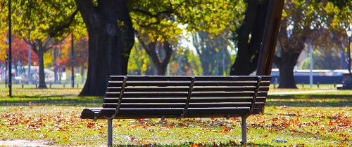 Экскурсия по Крайстчерчу из Акароа