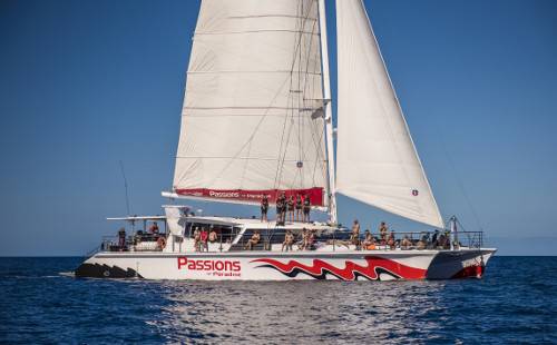 Круиз к коралловым рифам на парусной яхте