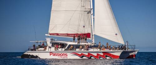 Круиз к коралловым рифам на парусной яхте