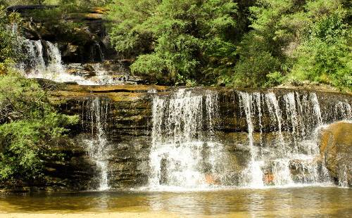 Экскурсия в Голубые горы на английском языке