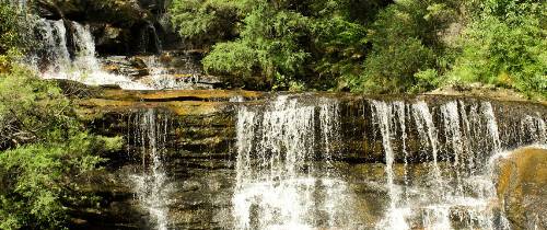 Экскурсия в Голубые горы на английском языке