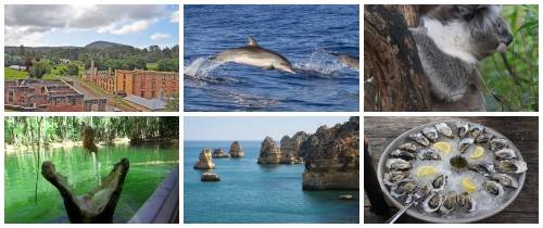  Индивидуальные экскурсии по маршруту Мельбурн-Тасмания-Сидней-Кернс